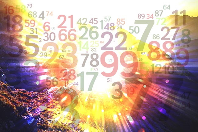 Name Numerology Calculator Chaldean Name Number